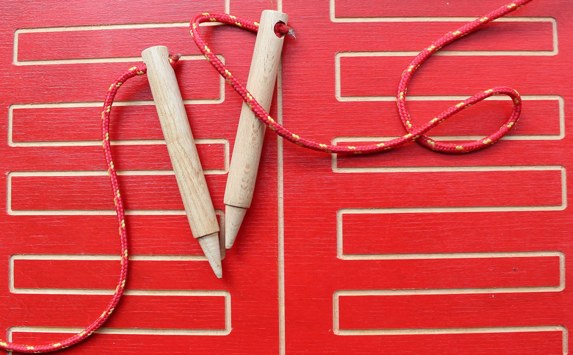 Monthly Reports & Progress Cards